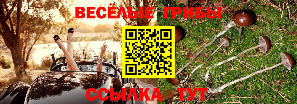 Юрга  Галлюциногенные грибы мухоморы  Галлюциногенные грибы Psilocybine cubensis  Вход с VPN 